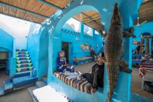 A mummified crocodile hangs at a house in the Nubian village of Gharb Soheil. By Khaled DESOUKI (AFP)