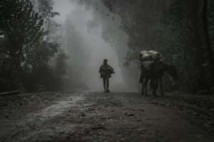 A boy walks in the fog near Chenna, which people have fled since the mass killings. By Amanuel Sileshi (AFP)