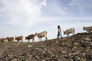 A brutal cycle of ethnic violence that has claimed the lives of hundreds of people in the region, pitting farmers against farmers. By MICHELE CATTANI (AFP / File)