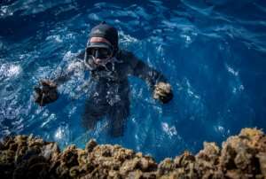 A diver gathers mussels in a farm off the coast of the port city of Nador in Morocco. By FADEL SENNA (AFP)