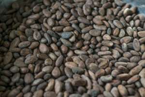 A few entrepreneuring Ghanians are processing cocoa beans to make chocolate, instead of just exporting them. By CRISTINA ALDEHUELA (AFP/File)