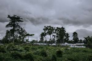 A forward base set up by the DRC army and rangers from the Virunga National Park on the outskirts of Mutwanga. By ALEXIS HUGUET (AFP/File)