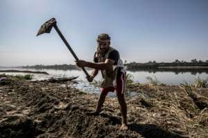 Agriculture, like construction and the vast informal economy, have weathered the crisis better than the tourism or retail sectors. By Khaled DESOUKI (AFP/File)