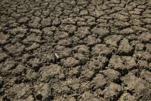 Africa has been ravaged by the affects of climate change. By Guillem Sartorio (AFP/File)