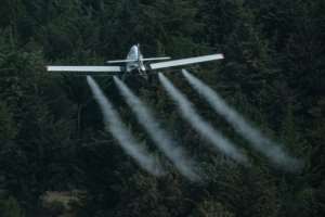 Air support: A plane sprays pesticides over locust-covered trees in Meru. The poison is not exclusive to pests, as bees, butterflies and other friendly insects are also killed. But it is designed to break down quickly and lose toxicity within a day. By Yasuyoshi CHIBA (AFP)
