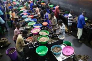 Almost three million tonnes of cashews are harvested every year around the world