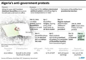 Algeria's Hirak protest movement began anti-government demonstrations more than a year ago. By Maryam EL HAMOUCHI (AFP)