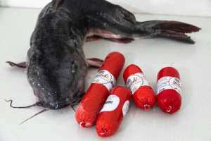 An African bonytongue fish pictured next to fish paste sausages at a small processing plant in Douala. By Daniel Beloumou Olomo (AFP)