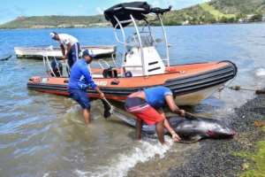 Authorities recovered some of the bodies for autopsies. By Beekash Roopun (L'Express Maurice/AFP)