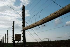 Barrier: The electric fence at the KiliAvo Fresh Ltd avocado farm in Kimana. By Yasuyoshi CHIBA (AFP)