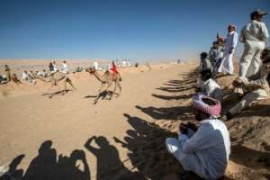 Bedouins watch a camel race in Egypt's South Sinai desert. By Khaled DESOUKI (AFP)