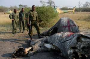 Botswana's military says it is ready to repel armed elephant-poaching gangs.  By MONIRUL BHUIYAN (AFP)