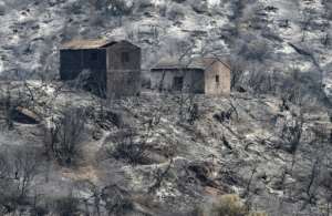 Burned houses stand amid charred trees, following a wildfire in the forested hills of the Kabylie region, east of the Algerian capital. By Ryad KRAMDI (AFP)