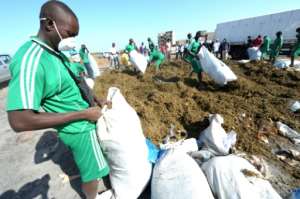Cannabis crackdown: Police in Dakar unpack sacks of cannabis for burning (2014 file picture). By SEYLLOU (AFP/File)