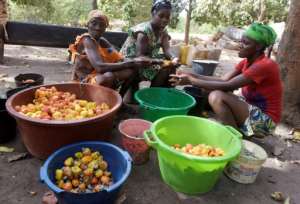 Cashew nuts are Guinea-Bissau's main export. By SEYLLOU (AFP/File)