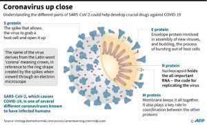 Coronovirus up close. By John SAEKI (AFP)