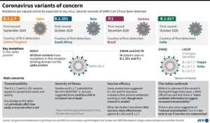 Factfile on SARS-CoV-2 variants of concern, including the newly announced B.1.1.529 variant. By John SAEKI (AFP)