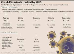 Covid-19 variants currently tracked by the World Health Organization. By Gal ROMA (AFP)