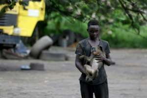 Close contact: A boy plays with a monkey in the courtyard of a home in Franceville. By STEEVE JORDAN (AFP)