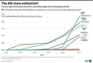 Current extinction rates are 100 to 1,000 times greater than the normal 'background' rate. By Erin CONROY (AFP)