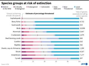 Current global extinction risk in different species groups, according to the IUCN. By Erin CONROY (AFP)