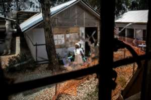 Dangerous times: Health workers are pictured through a bullet-holed window at an Ebola treatment centre in the eastern DR Congo city of Butembo. The facility was attacked twice in early 2019 by armed men hostile to its work. By JOHN WESSELS (AFP)
