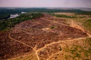 Deforestation and climate change could turn the Amazon's tropical forests into savannah. By Mayke TOSCANO (Mato Grosso State Communication Department/AFP/File)