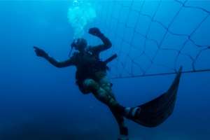 Dozens of South African beaches use shark nets, which activists say are ineffective and harm wildlife. By Michele Spatari (AFP)