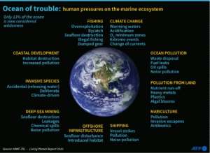 Environmental degradation of the oceans caused by human activity. By John SAEKI (AFP)