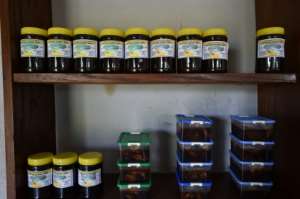 Experts say the outlook for beekeeping in Ivory Coast is promising -- the country has a huge array of tropical flowers and trees to provide nectar. By Issouf SANOGO (AFP)