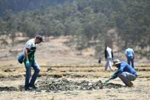 The families of the victims are searching the site of the Ethiopian Airlines accident on March 15, 2019. By TONY KARUMBA (AFP)