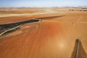 Farmers around Senekal complain of a rise in crime in the region that is forcing them to cut activities. By MARCO LONGARI (AFP)