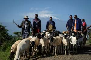 Fenced farming threatens the timeless lifestyle of Masai herders, say local landowners. By Yasuyoshi CHIBA (AFP)
