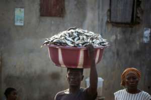 Fish is an important part of the diet of 7.5 million people in Sierra Leone. By Saidu BAH (AFP)