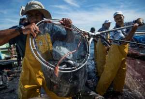 Fishermen say they are paying for the