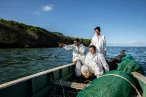 Fishermen place improvised floating barriers into the sea to block the leaked oil. By Laura Morosoli (AFP)