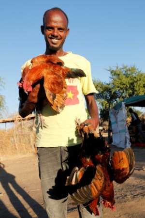 For some Ethiopian refugees in Sudan, the cost of a whole goat was too much, so some clubbed together to buy a chicken. By ASHRAF SHAZLY (AFP)