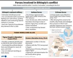 Profile of the forces involved in the Tigray conflict in Ethiopia.. By Kenan AUGEARD (AFP)