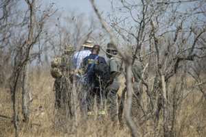 Forensic researchers can be seen near the scene where a poached rhinoceros was found in the Kruger National Park on 21 August. By WIKUS DE WET (AFP)
