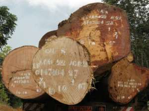 Forestry is one of Gabon's biggest industries but excessive logging and corruption are entrenched, say critics. By DELPHINE RAMOND (AFP)