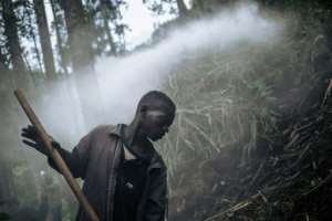 Former child soldier Joseph Bisole makes charcoal as part of a WWF (World Wildlife Fund) project. By ALEXIS HUGUET (AFP/File)