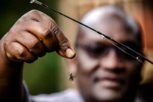 Fly fishing enthusiasts believe demystifying the sport could create jobs and encourage future generations to protect rivers. By LUIS TATO (AFP)