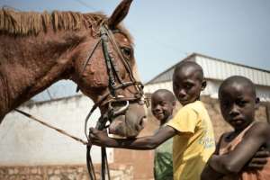 Friends: Neighbourhood children get to know Dida's horse in a street in Bangui. By FLORENT VERGNES (AFP)