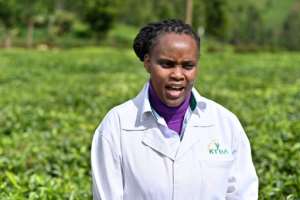 Grace Mogambi, the Kenya Tea Development Agency's manager of specialty products, says
