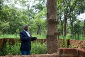 Historian Guillaume Nkongolo at the foot of the tree that his research says is the exact place where Lumumba was killed. By Samir Tounsi (AFP)