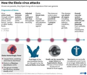 Factfile on how the Ebola virus attacks.  By John Saeki/Adrian Leung (AFP)