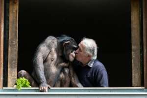 Indoor venues in France, including the zoological park of Saint-Martin-la-Plaine, are due to open on Wednesday. By JEAN-PHILIPPE KSIAZEK (AFP)
