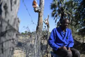Ishmael Simasiku, a farmer whose crops have been repeatedly destroyed by elephants, says the sports hunting ban in Botswana made his life worse. By MONIRUL BHUIYAN (AFP)