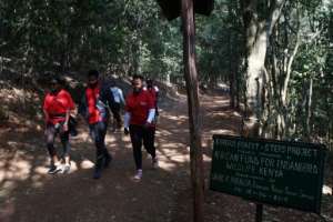 Joggers encounter bushbucks, hornbills and Syke's monkeys. By SIMON MAINA (AFP)
