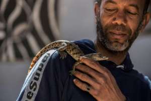 Mamdouh Hassan's father taught him how to raise and tame baby crocodiles. By Khaled DESOUKI (AFP)